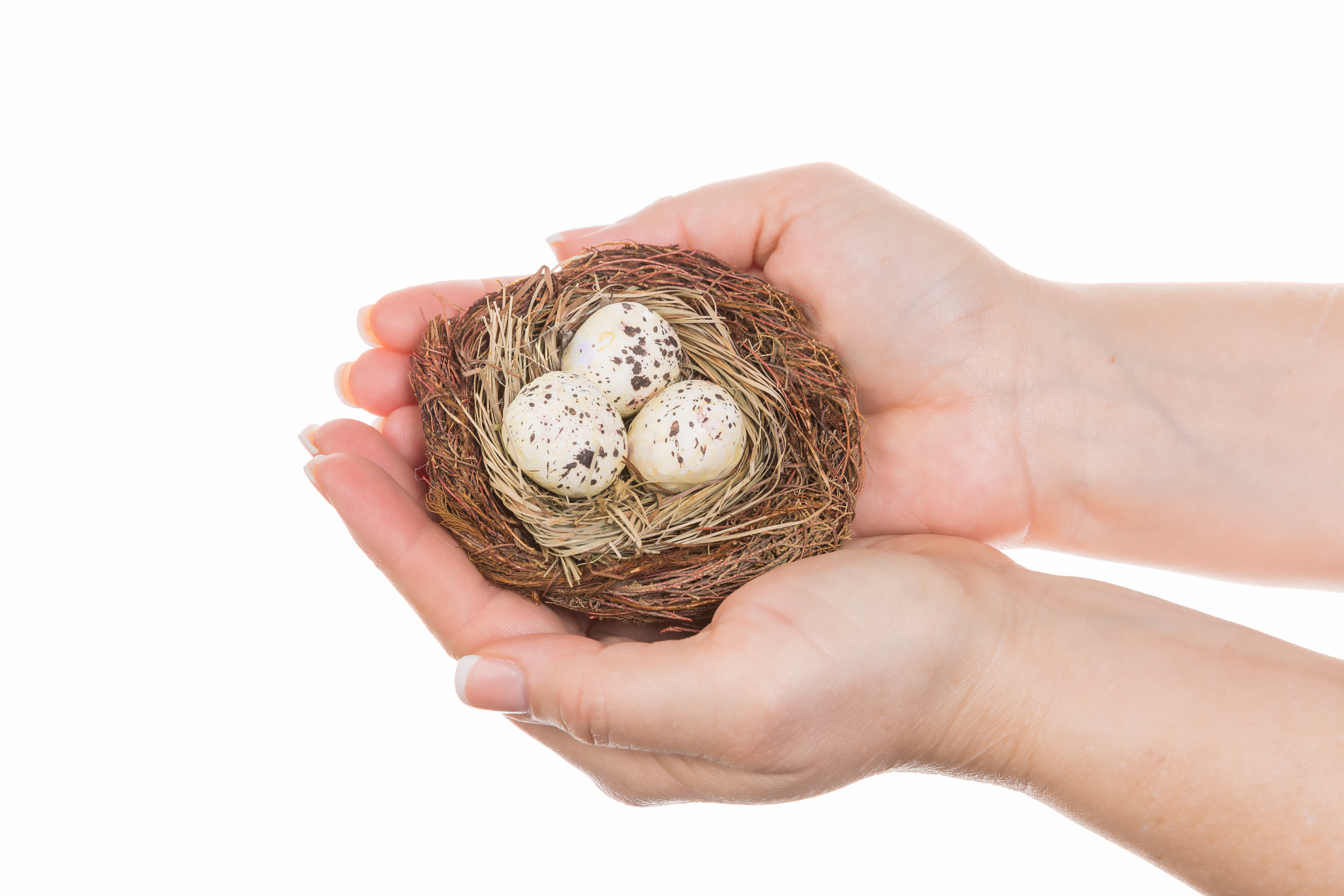 The Latest Child Custody Trend 'Birdnesting' Dads Divorce
