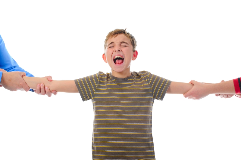 More States Considering Shared-Parenting Legislation ...