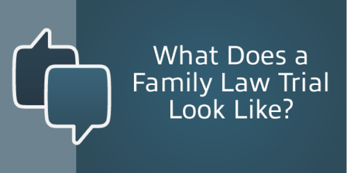 what does a family law trial look like